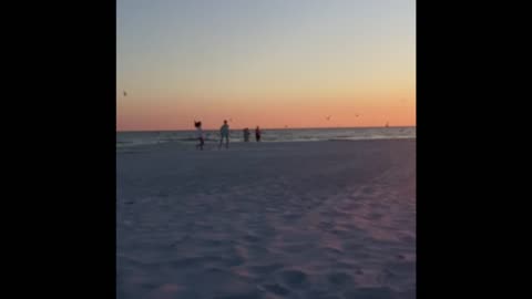 Oct. 2021: Siesta Key