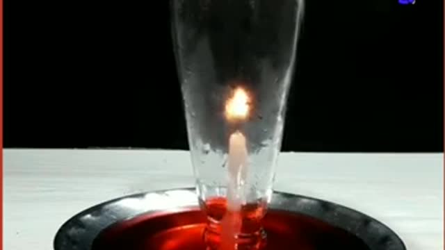 viral experiment viral video tik tok Animal video 3 magic experiment of science