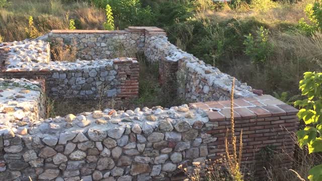 Miroljub Petrović - Izolacija - Nervi