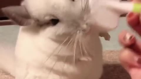 is he really smiling?