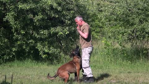 Cute dog 🐶 training