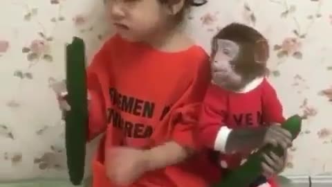 Cute Monkey