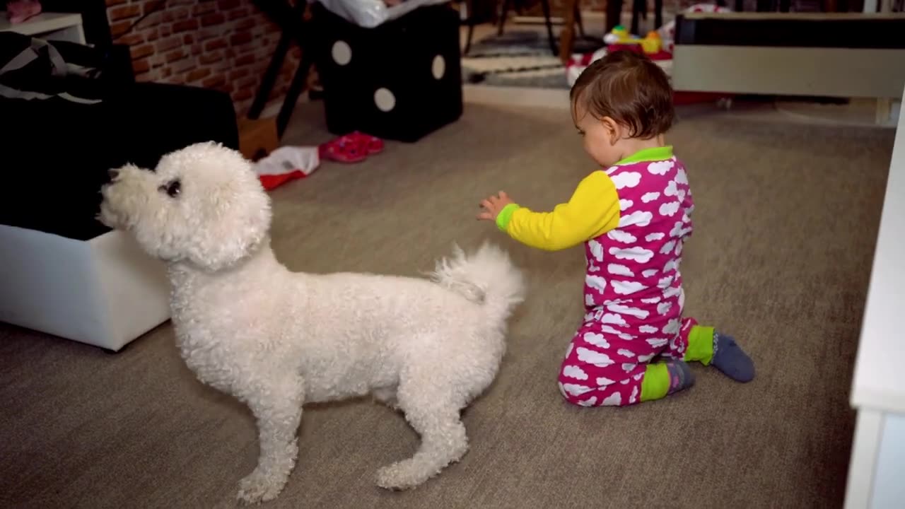 Friendship _ puppy and Baby. A beautiful moment #puppy #shorts#puppylove #pet #dogstagram #dogs.mp4