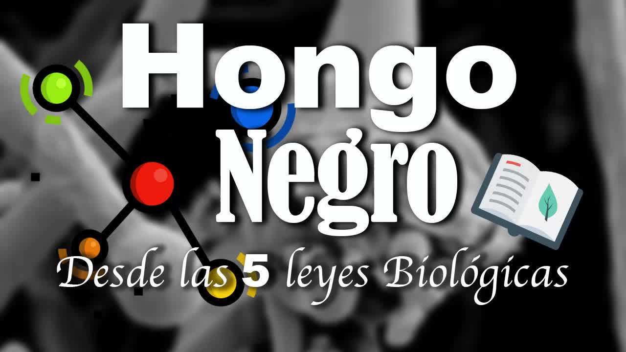 HONGO NEGRO: desde las 5 Leyes Biológicas