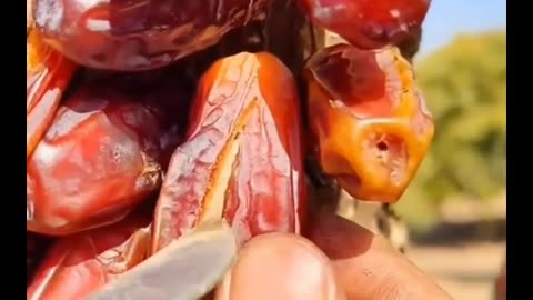 Benefits of Eating Dry Dates #shorts #health #benefits #drydates #ytshorts