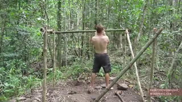 Primitive Technology: Palm Thatched Mud Hut