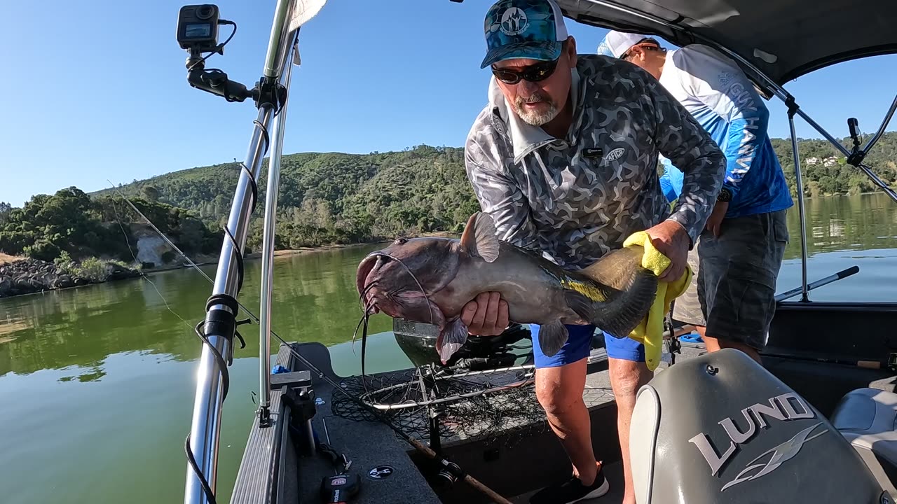 Typical chunk catfish from Clearlake, CA!