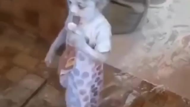 Logo ke hote hoge babu sona hamara to taliban hai bhai