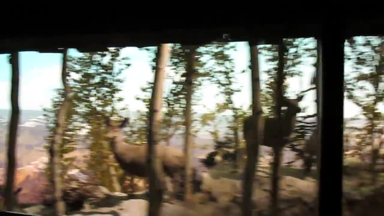 Grand Canyon Diorama at Disneyland resort 6/12/15