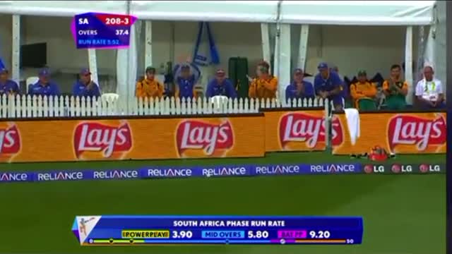 cricket fans-video cricket lovers-video #cricket #cricketlover