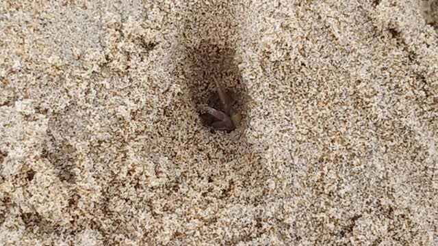 covid. without a job, going to the beach to find pleasure