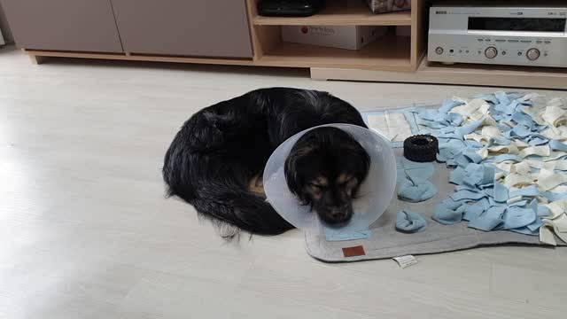he was a boy
