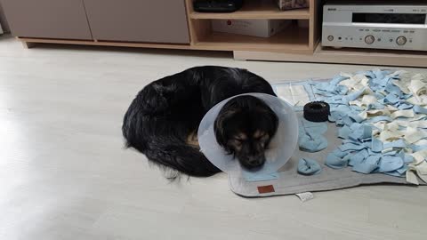he was a boy
