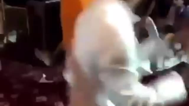 Panu