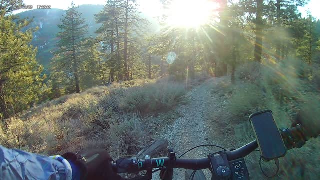 eMTB run down Table Mountain East Trail in Wrightwood Ca