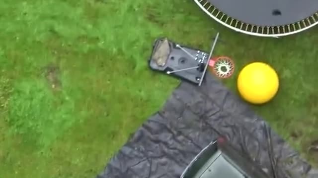 Amazing video