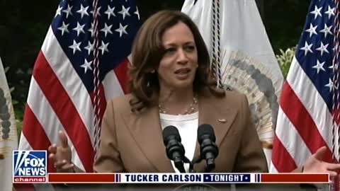 LOW IQ WINE MOM: Tucker Carlson Breaks Down Kamala's Greatness