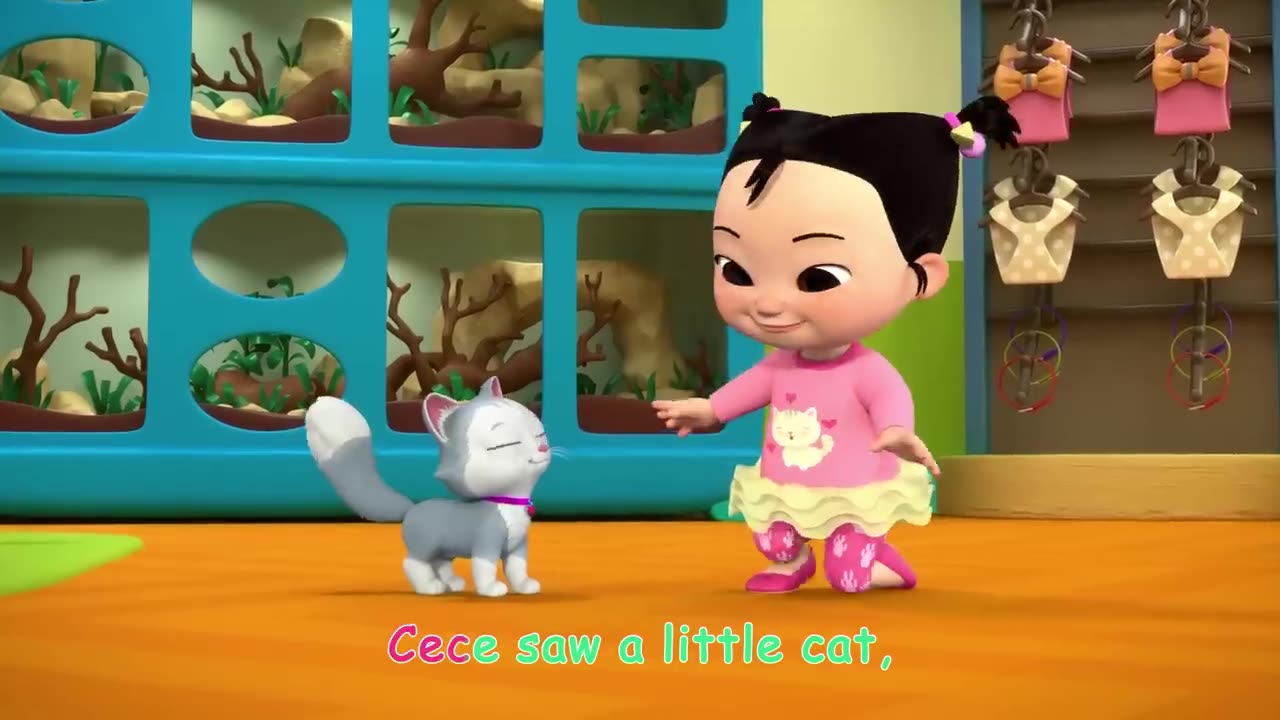 Maaim has a little cat