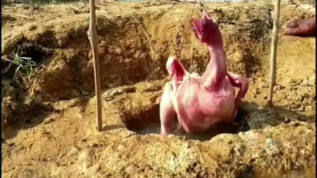 Give Me a chicken