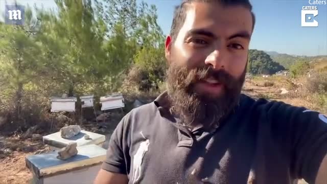 Lebanese man 'allows' hundreds of bees to stay on his beard