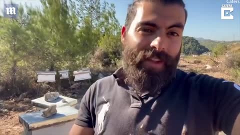 Lebanese man 'allows' hundreds of bees to stay on his beard