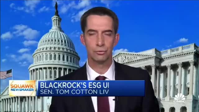 Senator Tom Cotton calling out BlackRock as a 'climate cartel'.