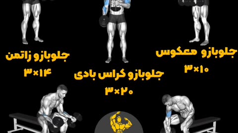 BODYBUILDING PROGRAM AT HOME WITH DUMBBELLS