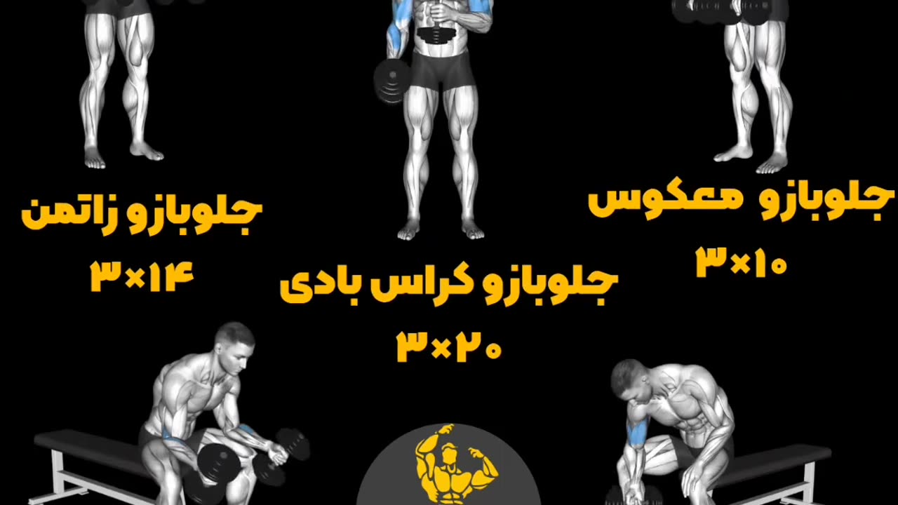 BODYBUILDING PROGRAM AT HOME WITH DUMBBELLS