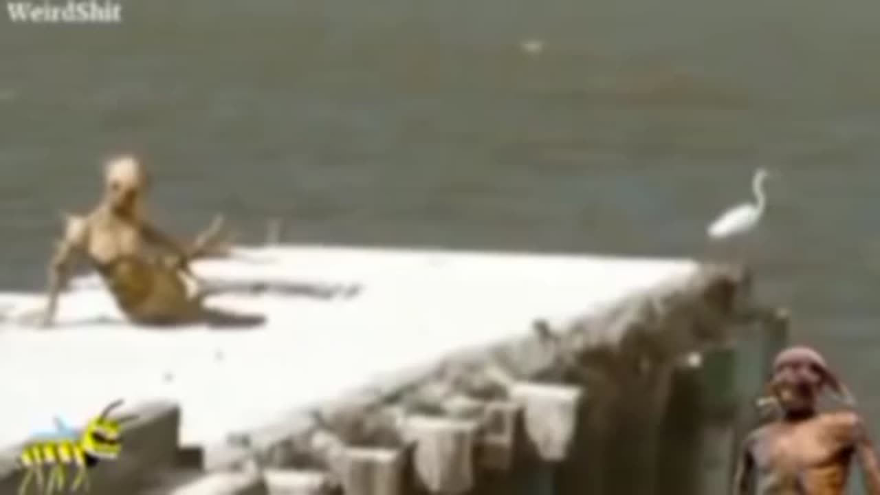 MERMAN FILMED OFF THE COAST OF THE USA