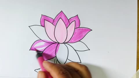 How to Draw Water Lily From U for kids _শাপলা ফুল আকাঁ