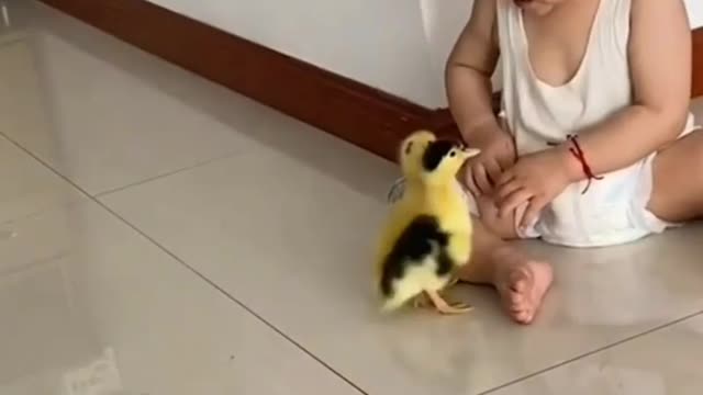 A baby playing with birds