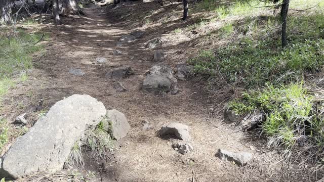 Ascending the Upper Forest Section of The Black Butte Trail – Central Oregon – 4K