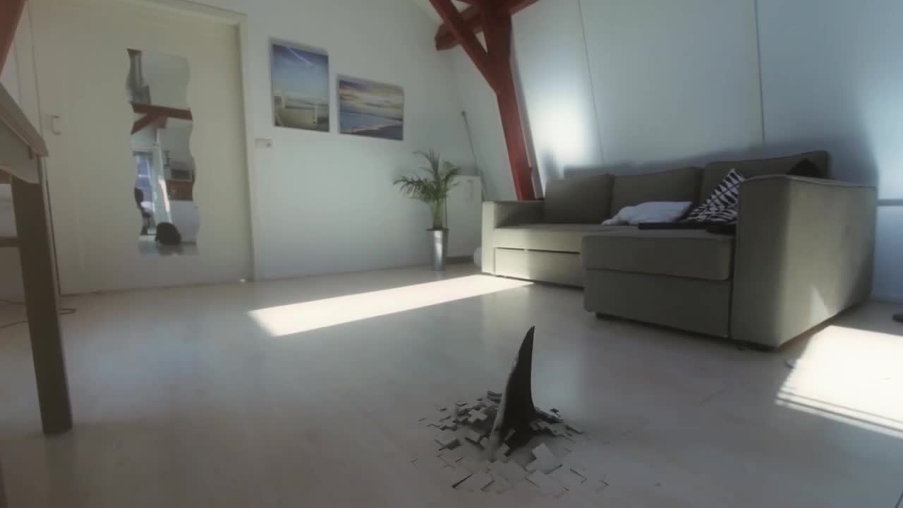 The shark swam into the house