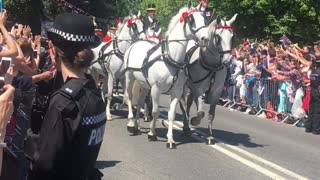 Royal Newlyweds Ride by Cheering Crowd