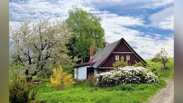 Last Cigar - Walls (Audio)