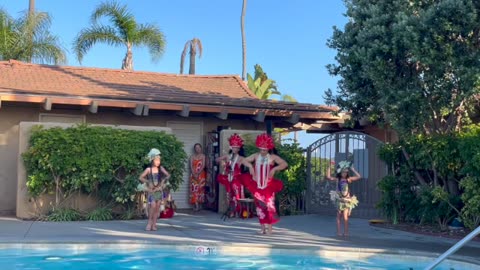 Motu Show 240620 Island Palms