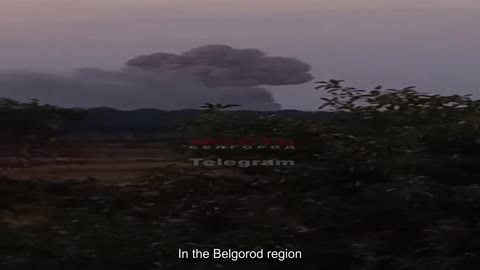 In the Belgorod region