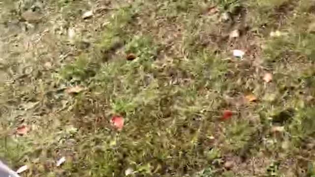 Lightning Strikes Tent in Vermont