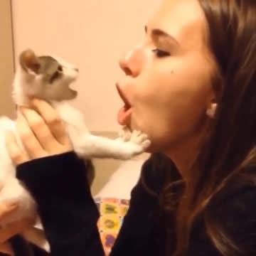 Amazing cat kissing beautiful lady