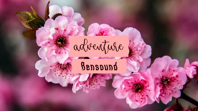 Backsound Aesthetic - Adventure