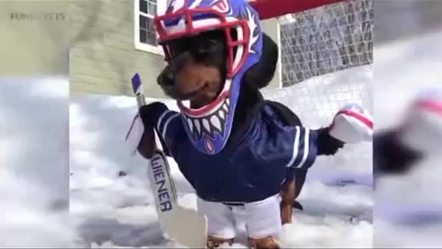 각종디비 풀디비 스카이,텔레 : mangonara6217