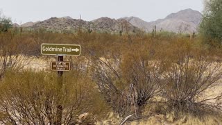 Goldmine Trail San Tan