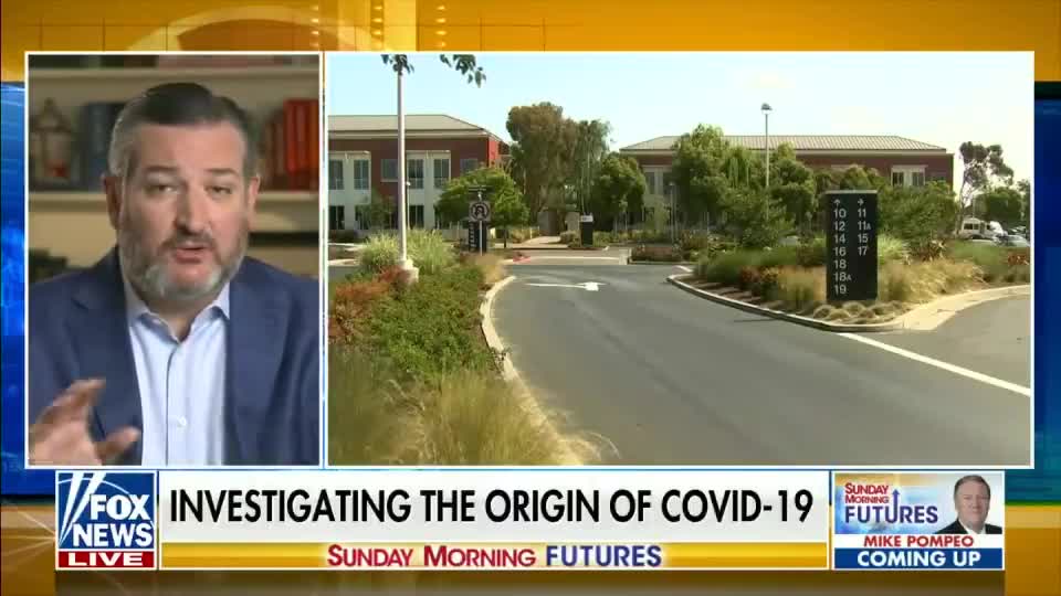 Facebook Censored COVID Info On Behalf Of The Government - Ted Cruz
