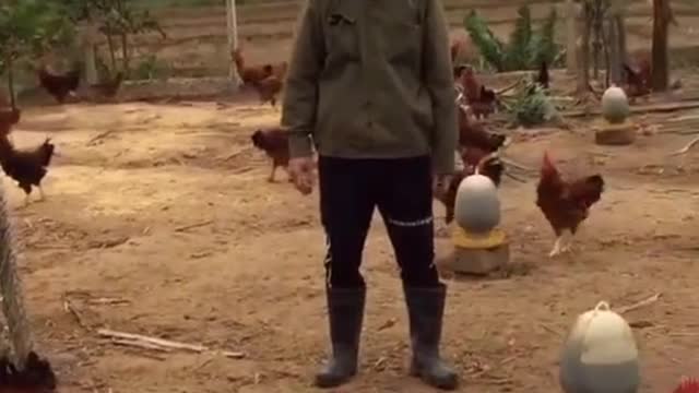 Sehen Sie, was Hunger gemacht wird