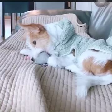 Thank you everyone for watching my video, subscribe to my channel and support Ok