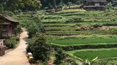 Path, mountain, field