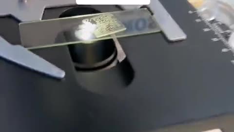 Red Bull parasites Graphene