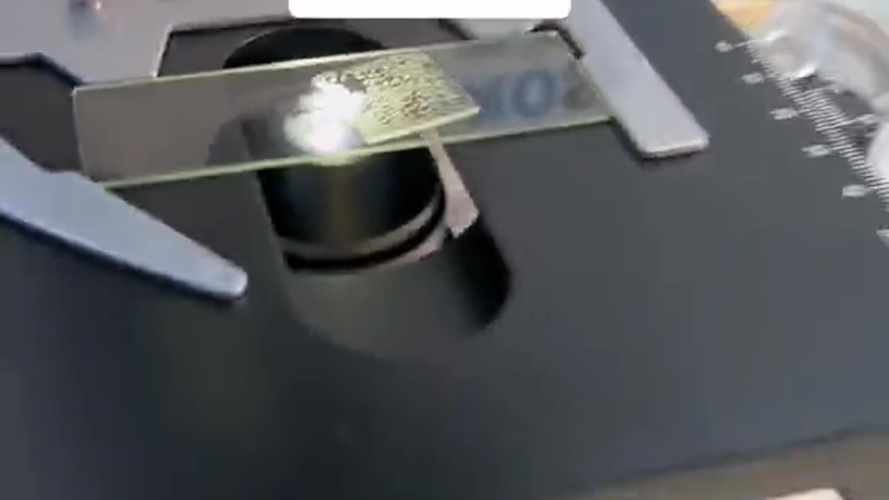 Red Bull parasites Graphene