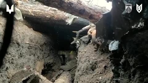 Multiple Ukrainian Assault Groups Storming Russian Fortifications(Must-See)