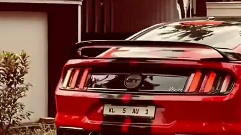 Craziest mustang in the world#rumblemustang